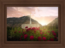 Load image into Gallery viewer, Provo Second Coming