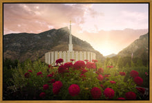 Load image into Gallery viewer, Provo Second Coming