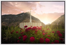 Load image into Gallery viewer, Provo Second Coming
