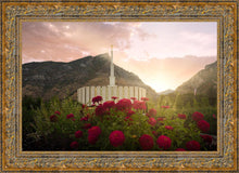 Load image into Gallery viewer, Provo Second Coming