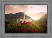 Load image into Gallery viewer, Provo Second Coming