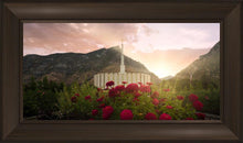 Load image into Gallery viewer, Provo Second Coming
