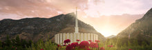 Load image into Gallery viewer, Provo Second Coming