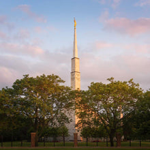 Load image into Gallery viewer, Chicago Temple Risen