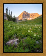 Load image into Gallery viewer, The Meadow