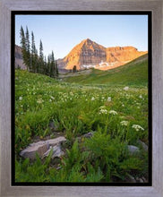 Load image into Gallery viewer, The Meadow