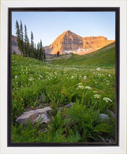 Load image into Gallery viewer, The Meadow