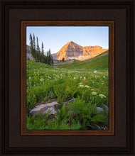 Load image into Gallery viewer, The Meadow