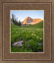 Load image into Gallery viewer, The Meadow