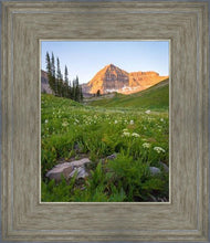 Load image into Gallery viewer, The Meadow