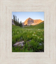 Load image into Gallery viewer, The Meadow