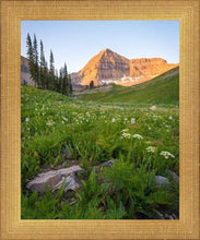 Load image into Gallery viewer, The Meadow
