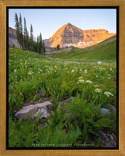 Load image into Gallery viewer, The Meadow