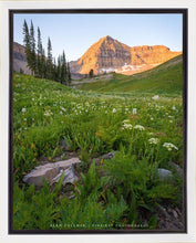 Load image into Gallery viewer, The Meadow