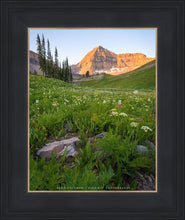 Load image into Gallery viewer, The Meadow
