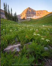 Load image into Gallery viewer, The Meadow