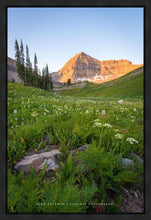 Load image into Gallery viewer, The Meadow