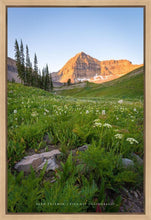 Load image into Gallery viewer, The Meadow