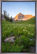 Load image into Gallery viewer, The Meadow