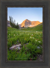 Load image into Gallery viewer, The Meadow