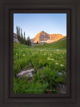 Load image into Gallery viewer, The Meadow