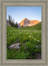Load image into Gallery viewer, The Meadow