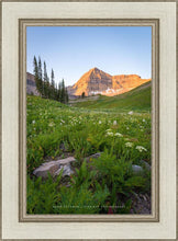 Load image into Gallery viewer, The Meadow