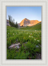 Load image into Gallery viewer, The Meadow