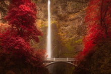 Load image into Gallery viewer, Multnomah Falls