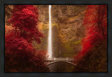 Load image into Gallery viewer, Multnomah Falls