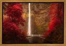 Load image into Gallery viewer, Multnomah Falls