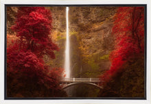 Load image into Gallery viewer, Multnomah Falls