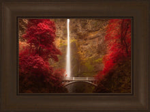 Load image into Gallery viewer, Multnomah Falls