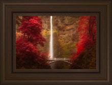 Load image into Gallery viewer, Multnomah Falls