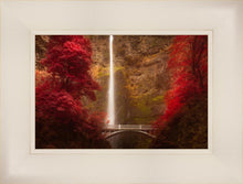 Load image into Gallery viewer, Multnomah Falls