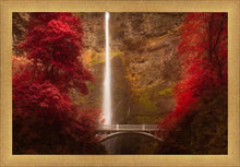 Load image into Gallery viewer, Multnomah Falls