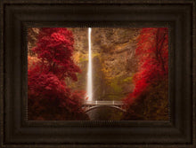 Load image into Gallery viewer, Multnomah Falls