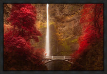 Load image into Gallery viewer, Multnomah Falls
