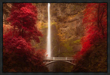 Load image into Gallery viewer, Multnomah Falls
