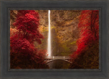 Load image into Gallery viewer, Multnomah Falls