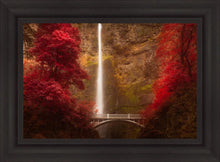 Load image into Gallery viewer, Multnomah Falls