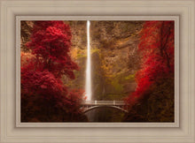 Load image into Gallery viewer, Multnomah Falls