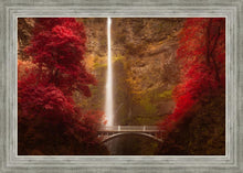 Load image into Gallery viewer, Multnomah Falls