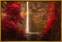Load image into Gallery viewer, Multnomah Falls
