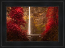 Load image into Gallery viewer, Multnomah Falls