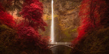 Load image into Gallery viewer, Multnomah Falls
