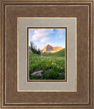 Load image into Gallery viewer, Timpanogos Meadow