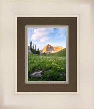 Load image into Gallery viewer, Timpanogos Meadow