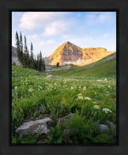 Load image into Gallery viewer, Timpanogos Meadow