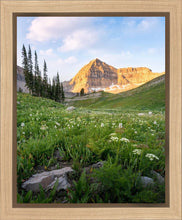 Load image into Gallery viewer, Timpanogos Meadow